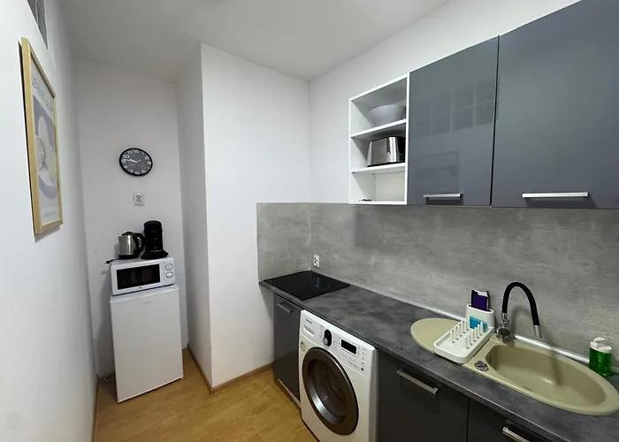 Apartmentsbymatyrafa-ix דירה טרנובסקי גאורי